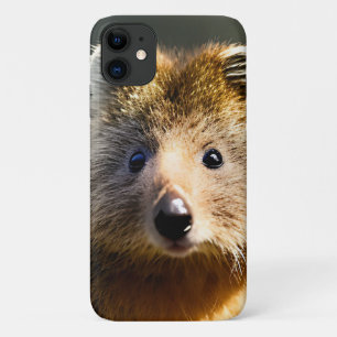 Quintin The Ginger Quokka, iPhone 11 Case