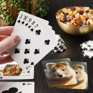 Quintin The Ginger Quokka, Deck Of Playing Cards