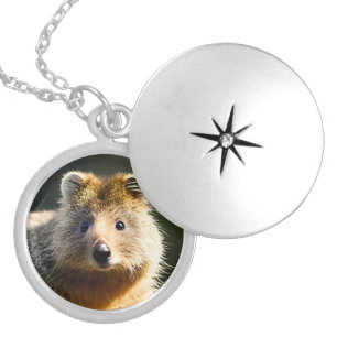 Quintin The Ginger Quokka, Locket Necklace