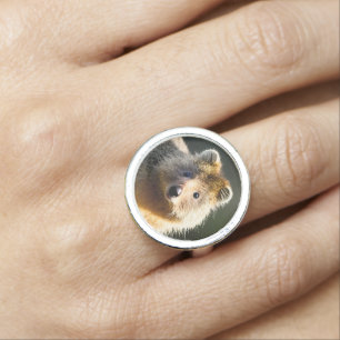 Quintin The Ginger Quokka, Photo Ring