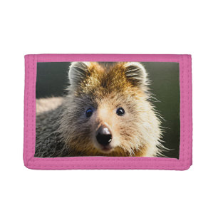 Quintin The Ginger Quokka, Trifold Wallet