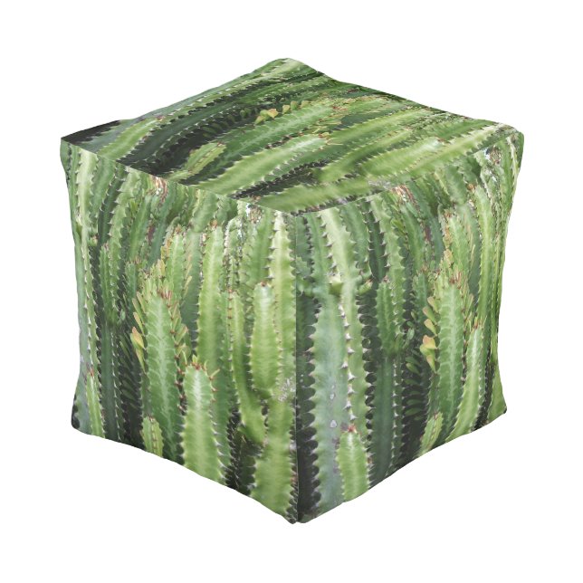Quirky Cactus Garden Pouf (Angled Front)