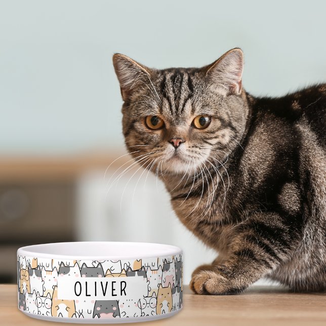 Quirky Cats Custom Name  Bowl (Easily customize this cute pet bowl with your furry loved one's name.)