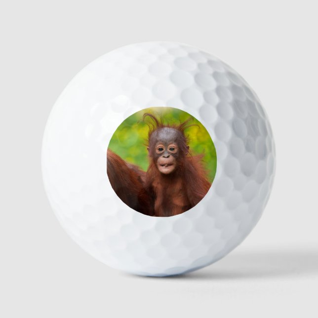 Quirky Charm of an Orangutan Baby Golf Balls (Front)