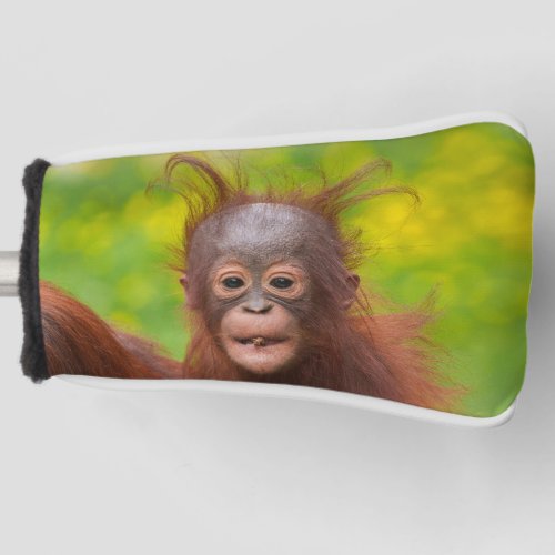 Quirky Charm of an Orangutan Baby Golf Head Cover