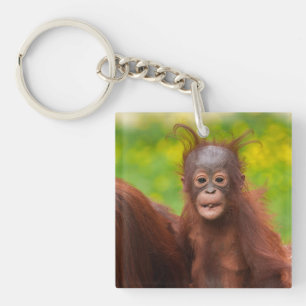 Quirky Charm of an Orangutan Baby Keychain