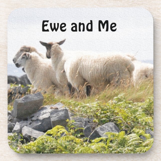 Quirky Designs - Sheep in a field Beverage Coaster (Front)