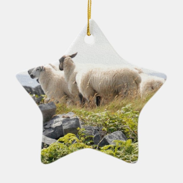 Quirky Designs - Sheep in a field Ceramic Ornament (Front)