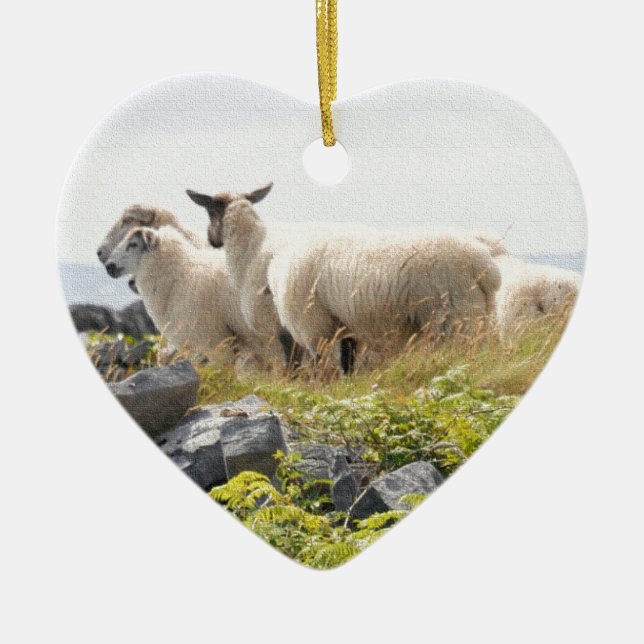 Quirky Designs - Sheep in a field Ceramic Ornament (Front)