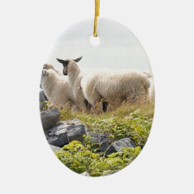 Quirky Designs - Sheep in a field Ceramic Ornament (Front)