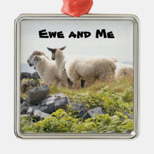 Quirky Designs - Sheep in a field Metal Ornament