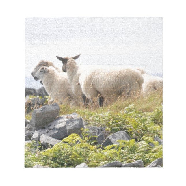 Quirky Designs - Sheep in a field Notepad (Front)