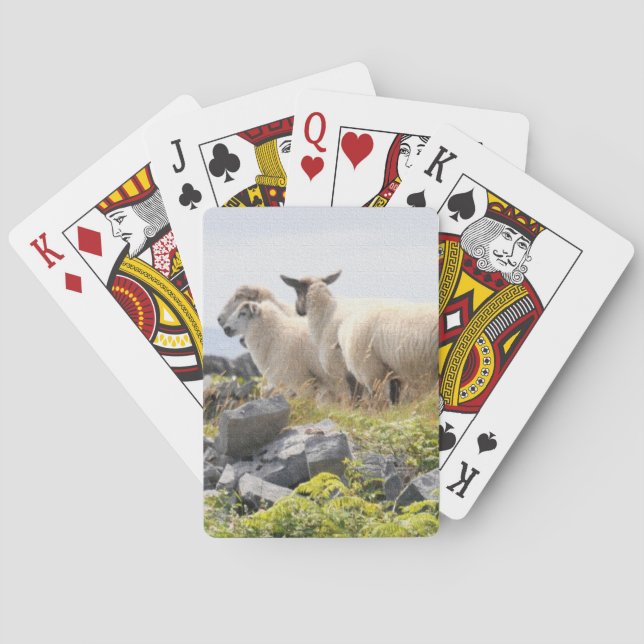 Quirky Designs - Sheep in a field Poker Cards (Back)