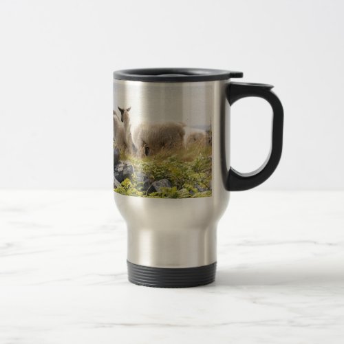 Quirky Designs _ Sheep in a field Travel Mug
