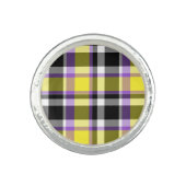 Quirky Eclectic Boho Nonbinary Plaid Pride Flag Ring (Front)