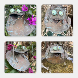 Quirky Frog - flowers and weathered fence Coaster Set