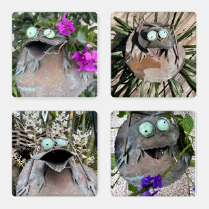 Quirky Frog - flowers and weathered fence Coaster Set