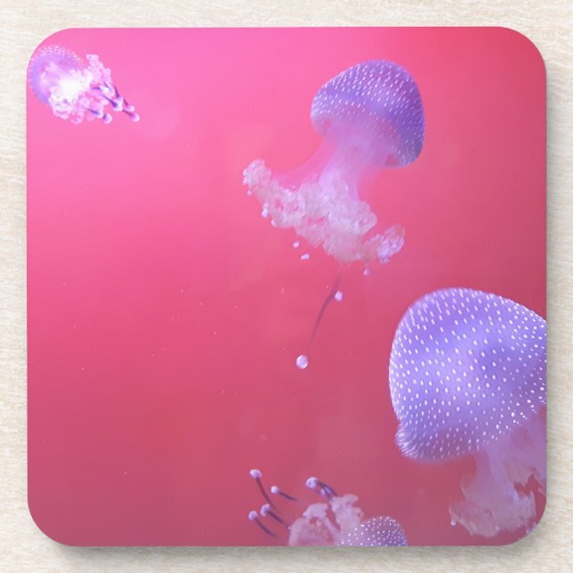 Quirky Jellyfish in the Pink Water Beverage Coaster (Front)