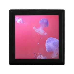 Quirky Jellyfish in the Pink Water Gift Box