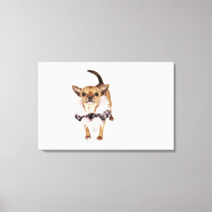 Quirky portrait of a Teacup Chihuahua Canvas Print