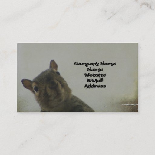 Customizable Quirky Squirrel Business Card Template