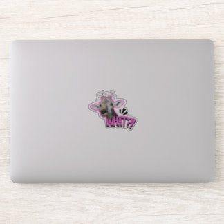 Quirky Stickers