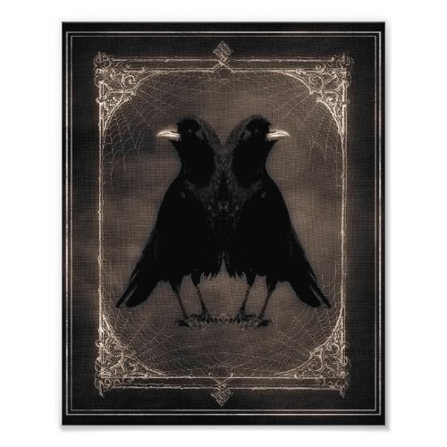 Quirky Twin Crows Photo Print