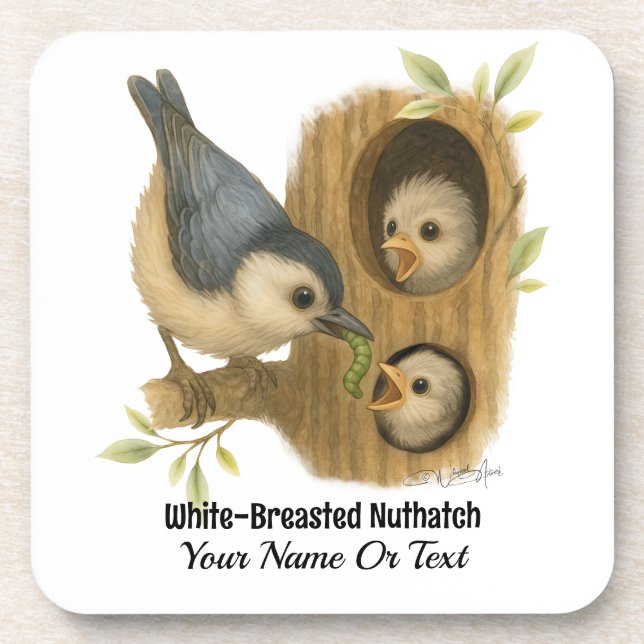 Quirky White-Breasted Nuthatch Beverage Coaster (Front)