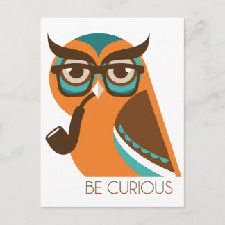 Quizik Owl Postcard