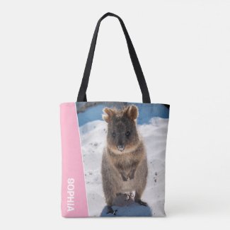 Quokka Australia Cute Animal on the Beach Photo