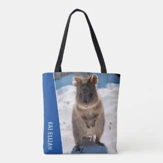 Quokka Australia Cute Animal on the Beach Photo