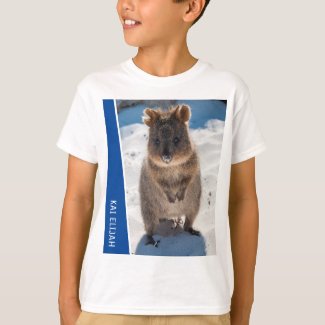 Quokka Cute Animal on the Beach Australia Blue