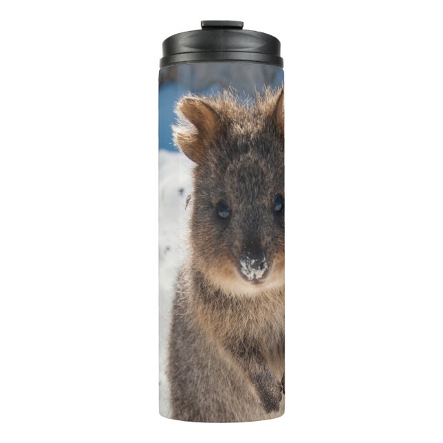 Quokka - Cute Animal on the Beach Australia Blue Thermal Tumbler (Front)
