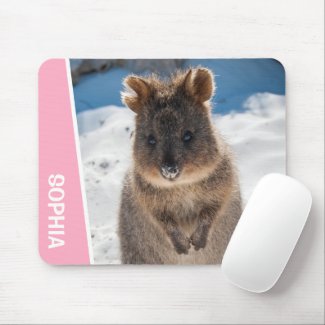 Quokka Cute Animal on the Beach Australia Pink
