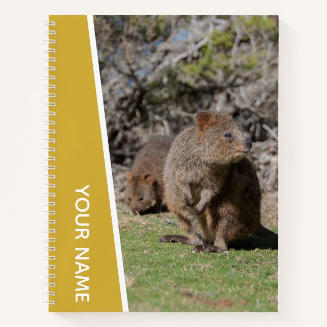 Quokka Happy Cute Animals, Australia, Gold Notebook (Front)