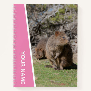 Quokka Happy Cute Animals, Australia, Pink Kids Notebook