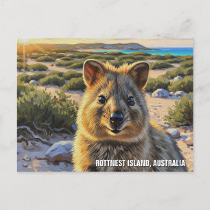 Quokka in Rottnest Island Australia Postcard
