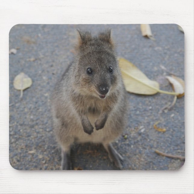 Quokka mouse pad (Front)