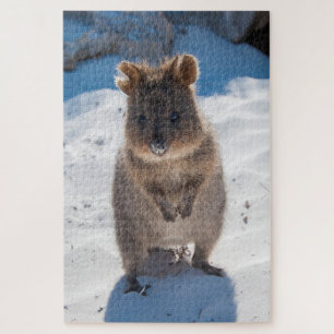 Quokka on the beach, 1014 pieces jigsaw puzzle