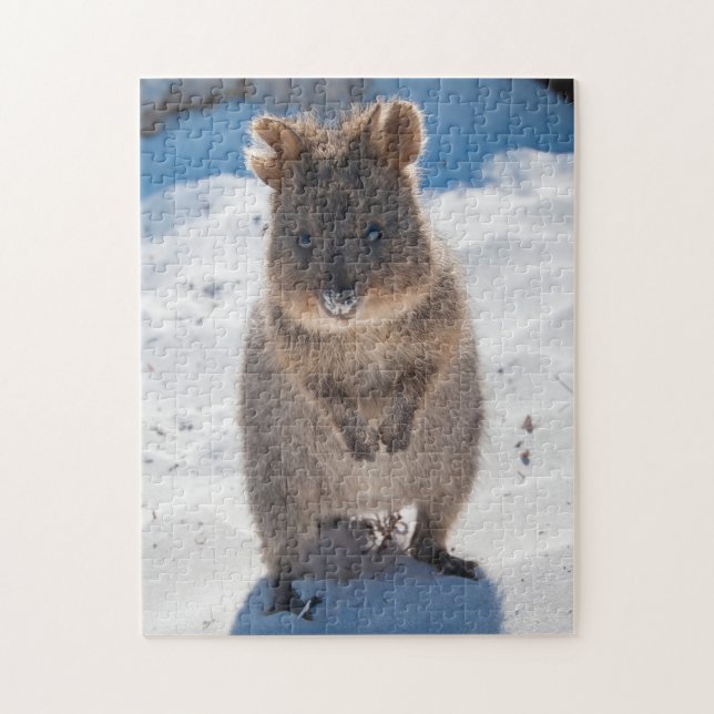Quokka on the beach, 252 pieces jigsaw puzzle (Vertical)