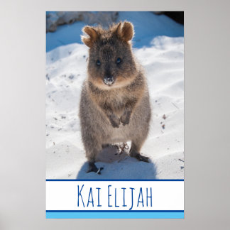 Quokka on the Beach Australia Blue Boys Poster