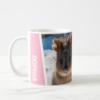 Quokka on the Beach Australia Cute Animal Photo
