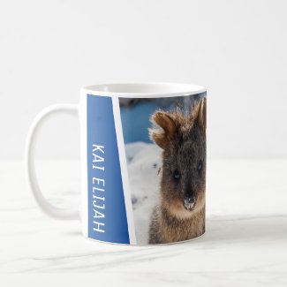 Quokka on the Beach Australia Cute Animal Photo