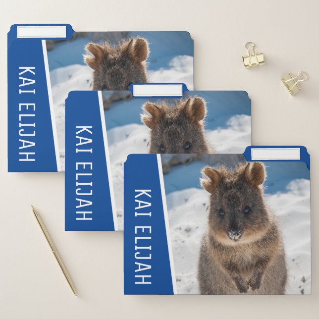 Quokka on the Beach Australia Cute Animal Photo File Folder (Set)