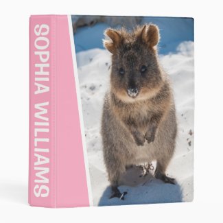 Quokka on the Beach Australia Cute Animal Photo