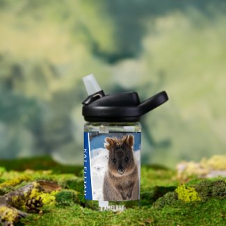 Quokka on the Beach Australia Cute Animal Photo