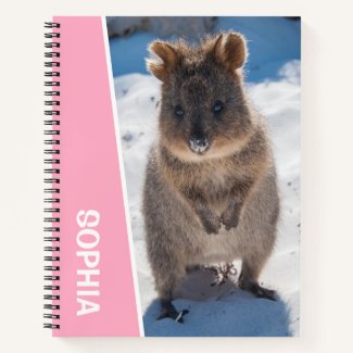 Quokka on the Beach Australia, Pink Accent Girls
