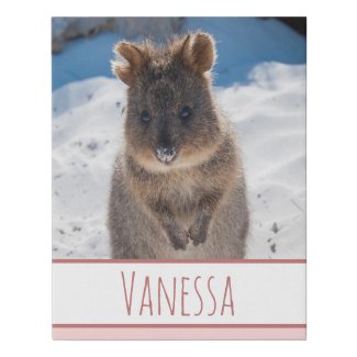 Quokka on the Beach Australia, Pink Girls