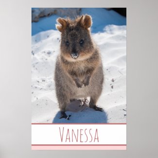 Quokka on the Beach Australia Pink Girls