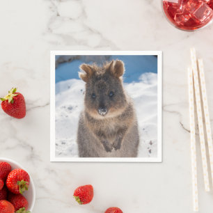 Quokka on the beach in Australia, cute photo Napkins